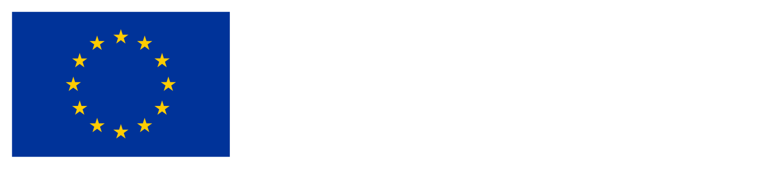 Co-funded by the European Union